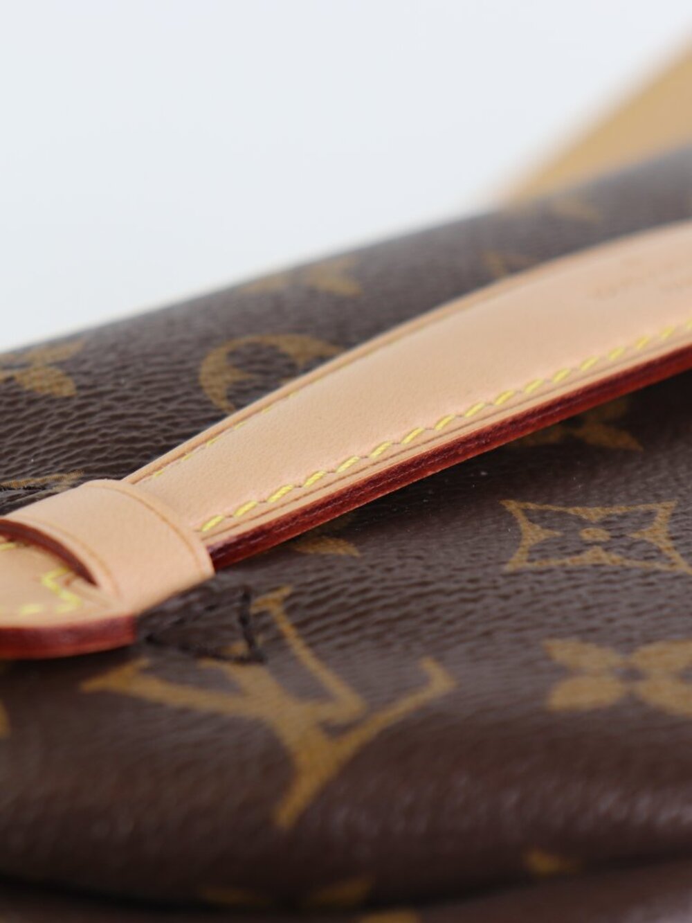 Louis Vuitton Monogram Bumbag - Picture 6 of 16